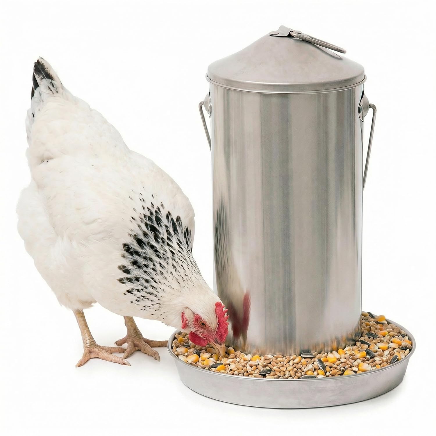 Plexon front view of hanging feeder showing sturdy design and easy access