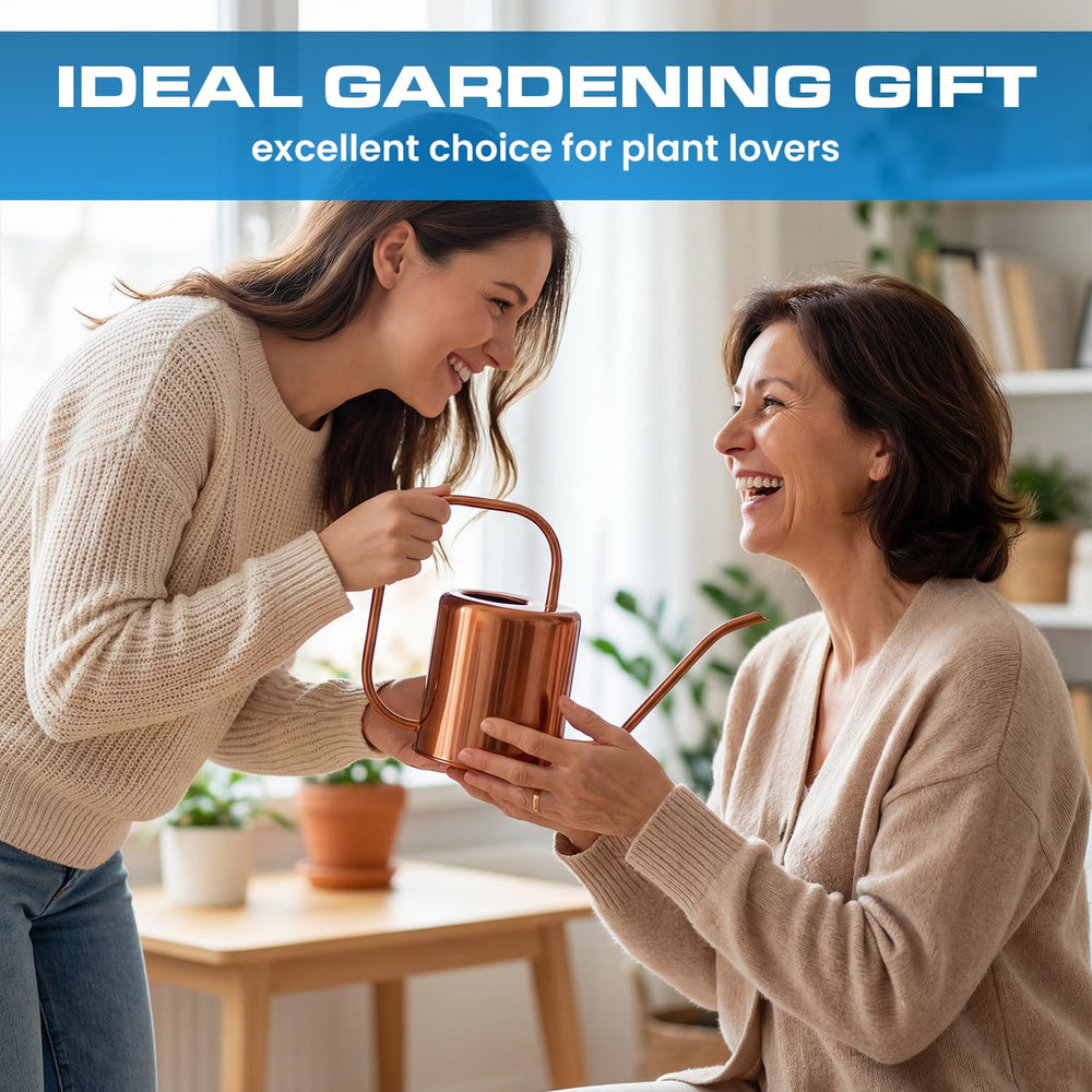 Plexon styled as a gift to demonstrate attractive present-ready appearance