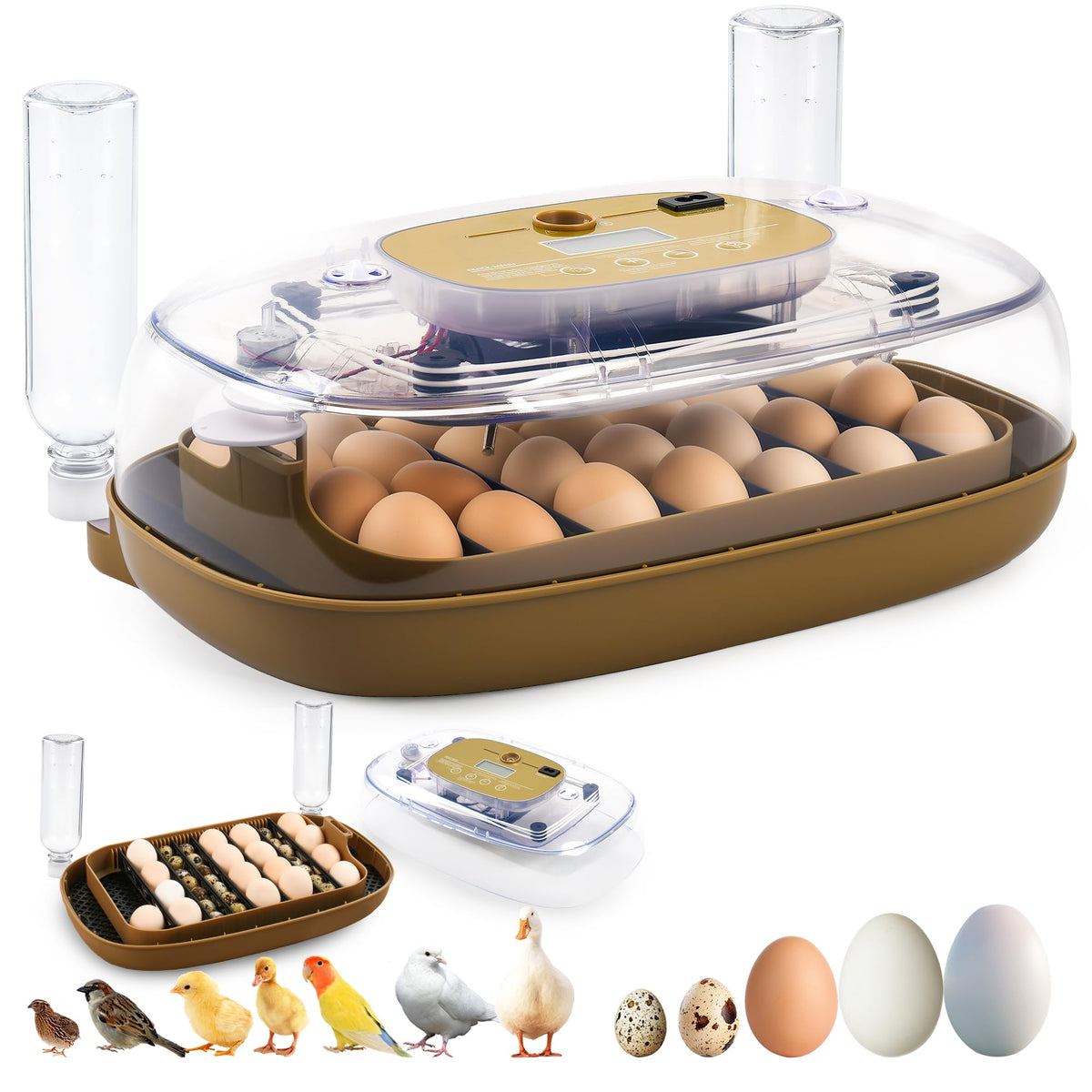 Ploomi incubator front view showing compact design and transparent lid benefiting clear visibility