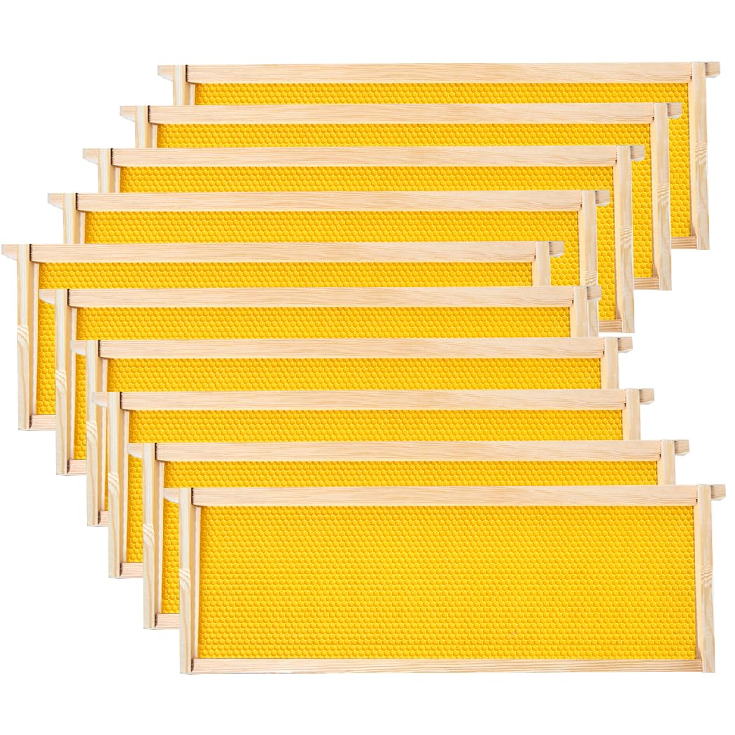 POLLIBEE front view of 10-pack medium frames showing neat packaging and ready supply benefit