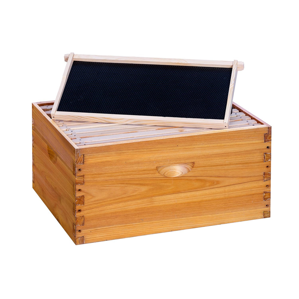 POLLIBEE front view of 10-frame deep brood box showing complete exterior and fit