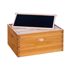 POLLIBEE front view of 10-frame deep brood box showing complete exterior and fit