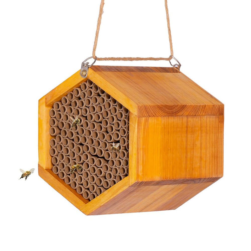 POLLIBEE front view of wooden bee house showing compact weatherproof design