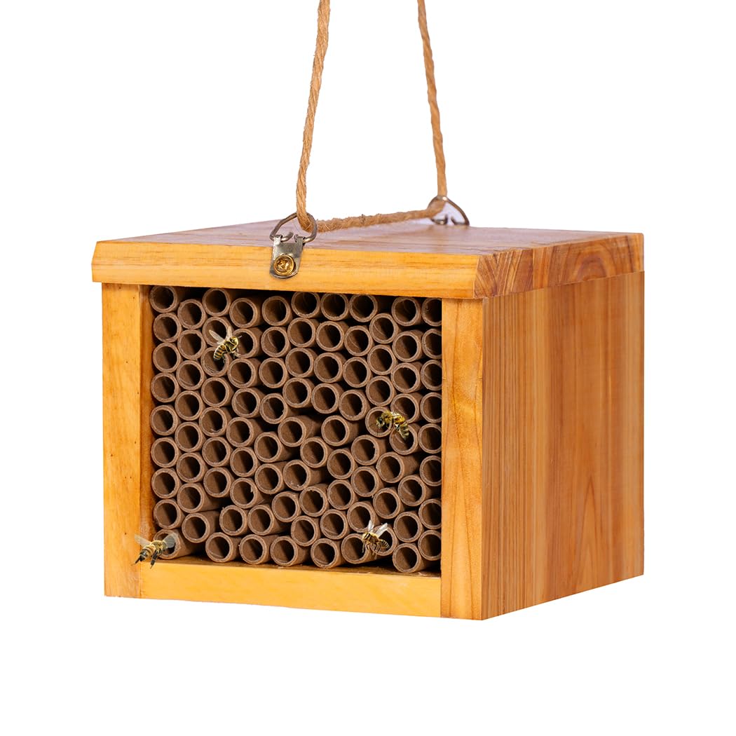POLLIBEE front view of wooden mason bee house showing ready-to-use design and shelter