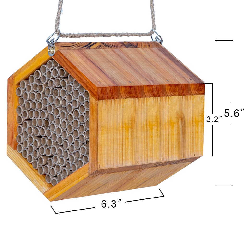POLLIBEE bee house in garden near flowers to boost pollination activity