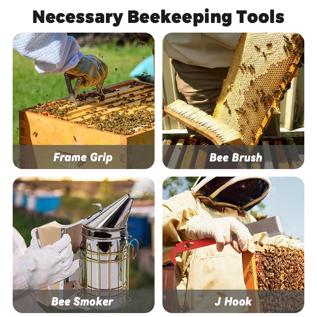 POLLIBEE assortment of hive tools arranged to demonstrate versatile prying and scraping benefits