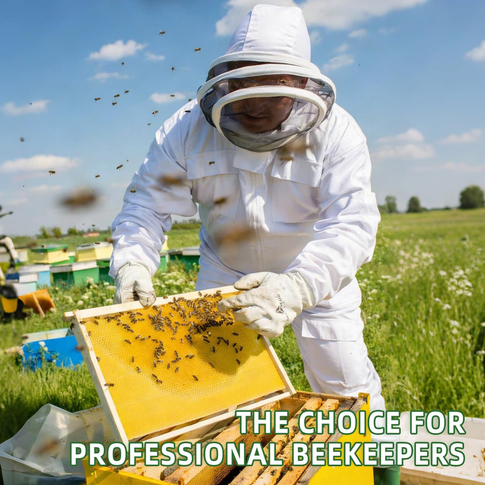 POLLIBEE kit in use at a backyard hive demonstrating practical real-world use
