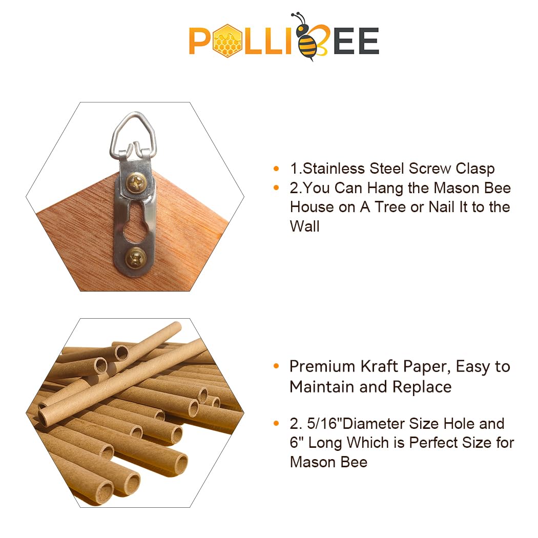 POLLIBEE kraft paper tube ends visible, offering ideal nesting diameter