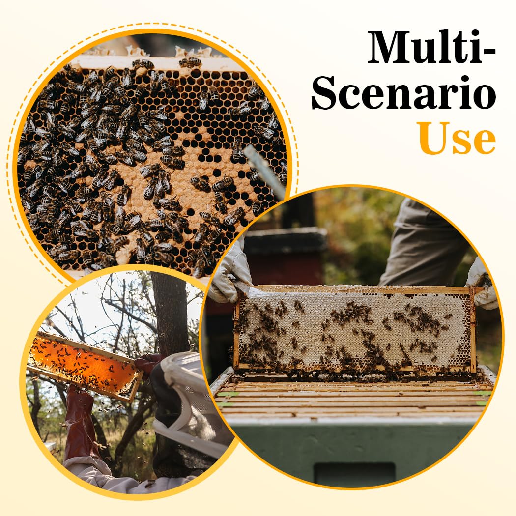 POLLIBEE beekeeper lifting frame during inspection highlighting contrast benefit for spotting brood