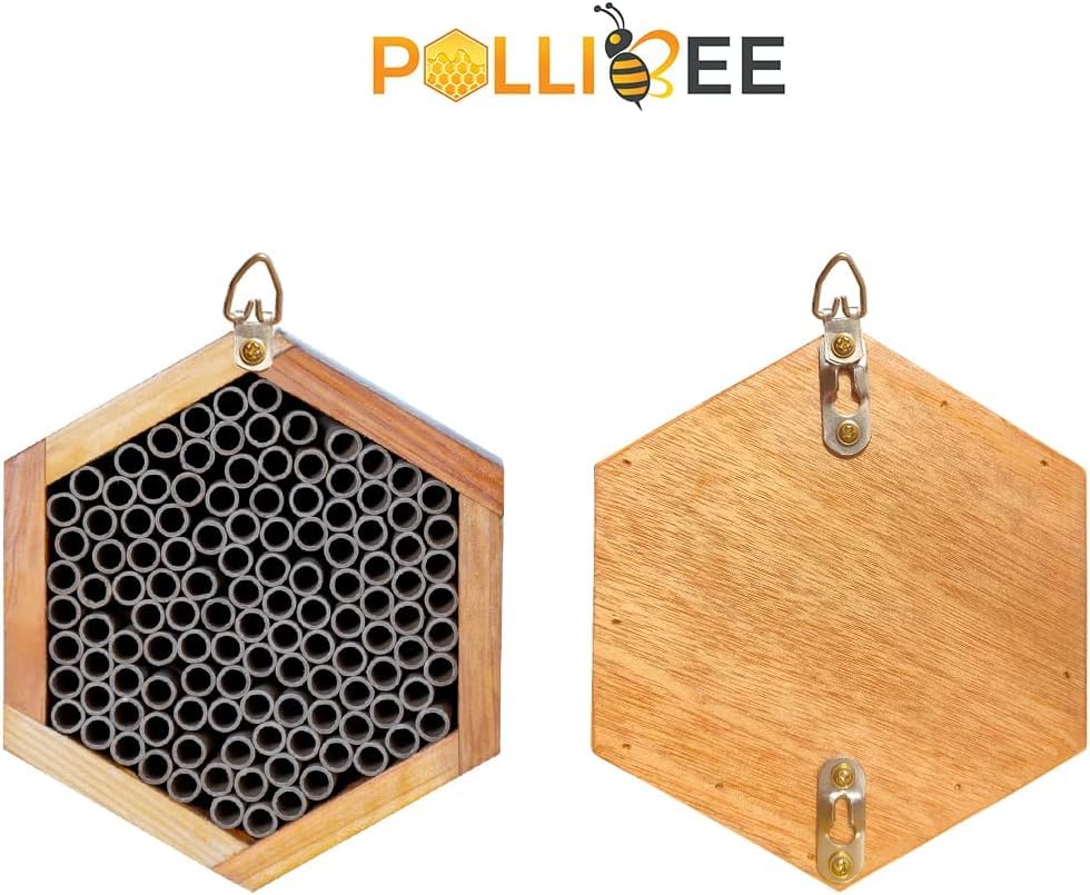 POLLIBEE metal wall hook and included rope mounted for versatile hanging