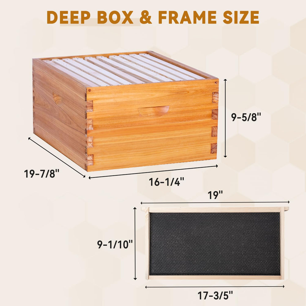 POLLIBEE brood box next to measuring tape illustrating Langstroth deep dimensions