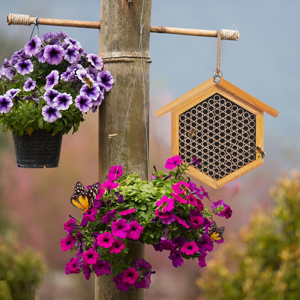 POLLIBEE bee house held in hand for size comparison, showing compact, manageable scale