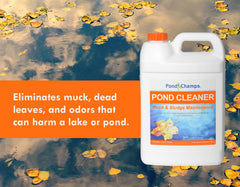 Pond Champs one-gallon bottle next to ruler showing size and coverage benefit