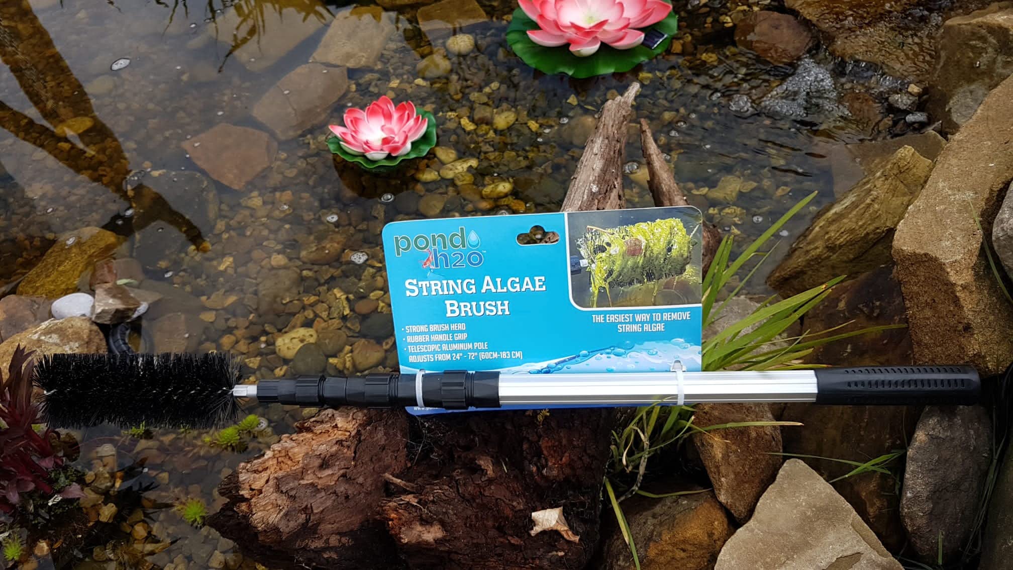Pond H2o lifestyle scene of backyard pond maintenance improving water clarity