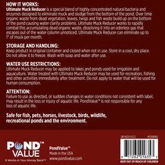 PondValue tablet close-up revealing texture and compact enzyme-bacteria formula