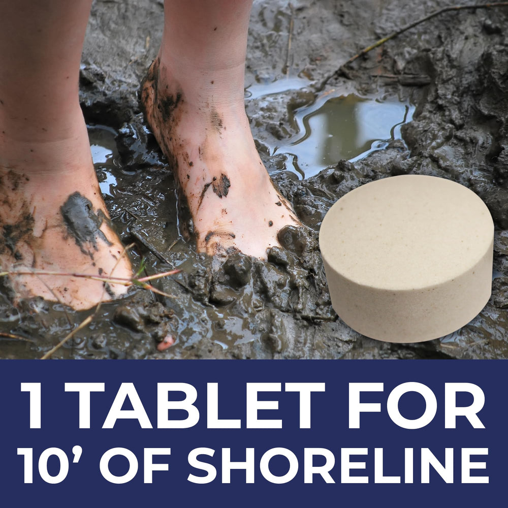 PondValue tablets in hand demonstrating easy toss-and-apply convenience
