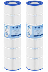 POOLNEAT R173216 front view showing cartridge label and fit benefits