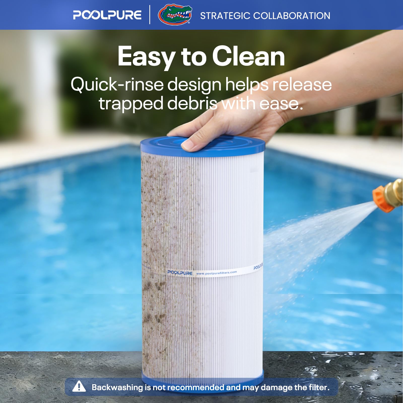 POOLPURE C-5345 beside ruler to show accurate length for correct replacement