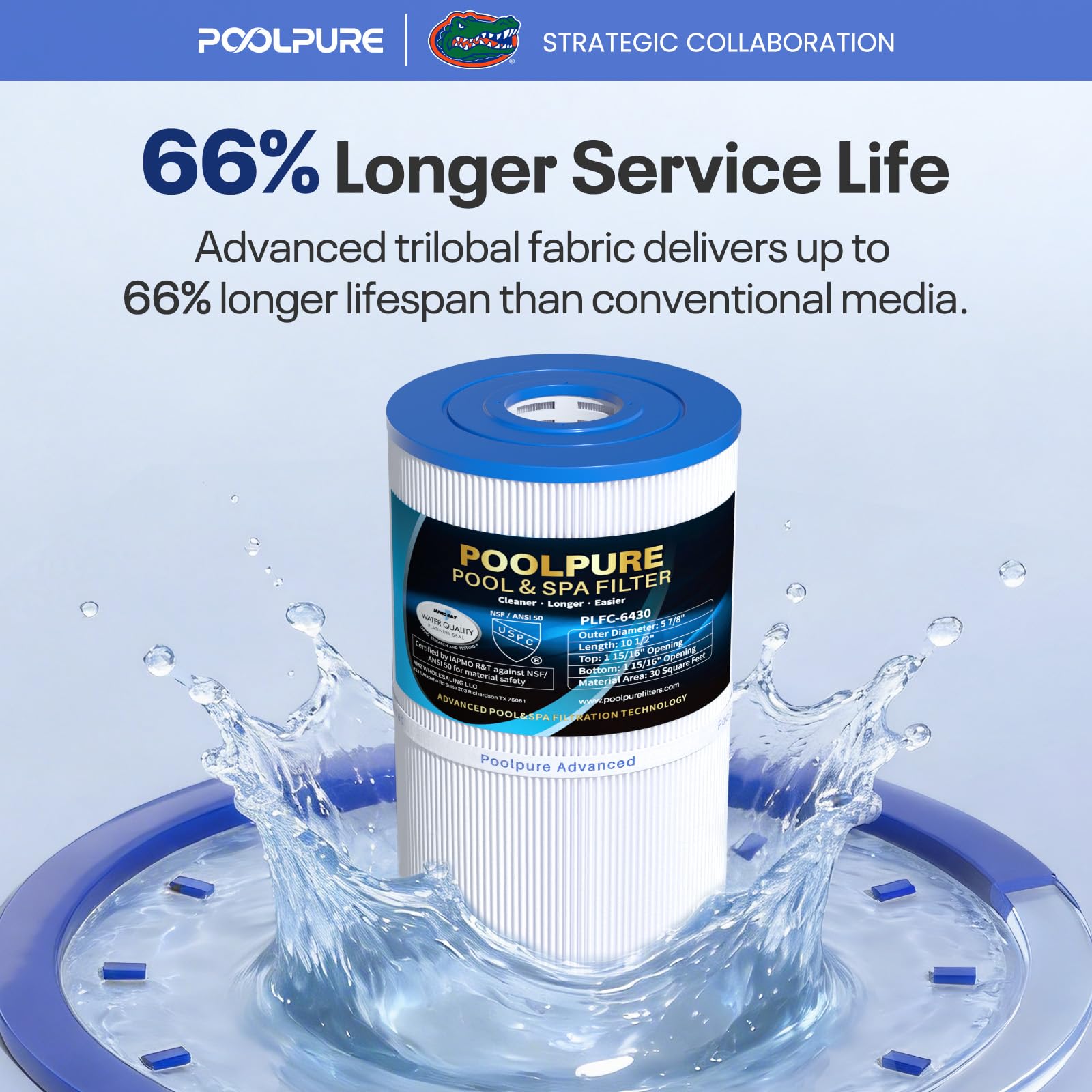 POOLPURE all five cartridges arranged to show included quantity