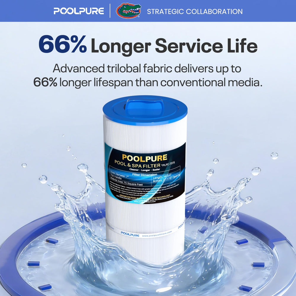 POOLPURE cartridge inside a spa scene, supports cleaner, more inviting water