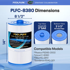 POOLPURE bottom 2.5" beveled edge detail showing correct seating and seal