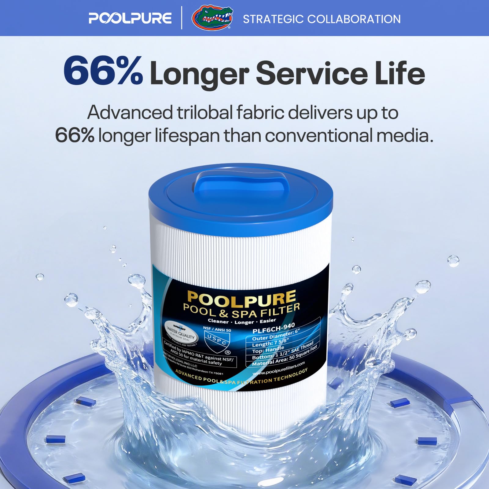 POOLPURE filtro junto a una regla para comparar tamaño y confirmar compatibilidad