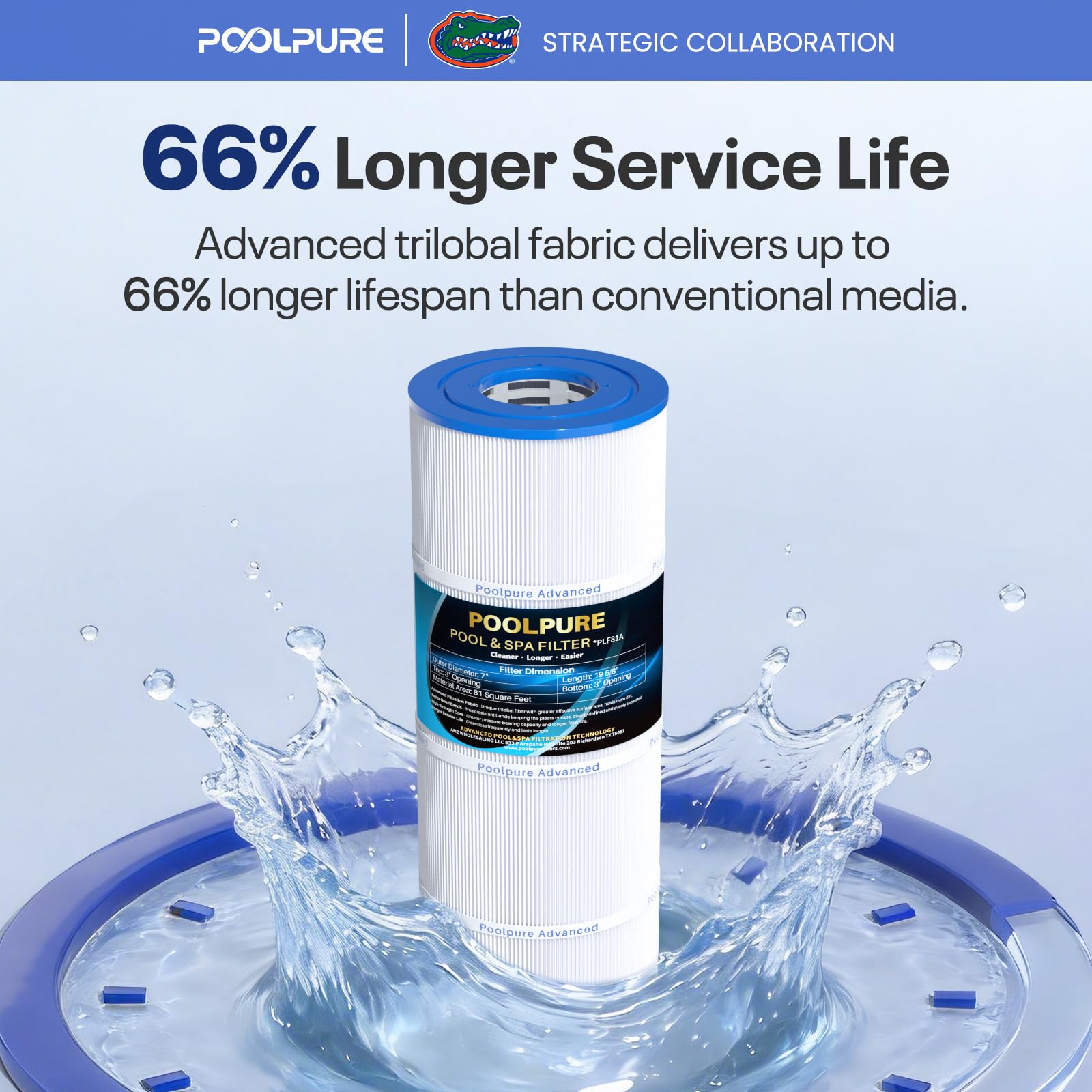 POOLPURE cartridge installed in filter housing restoring proper flow