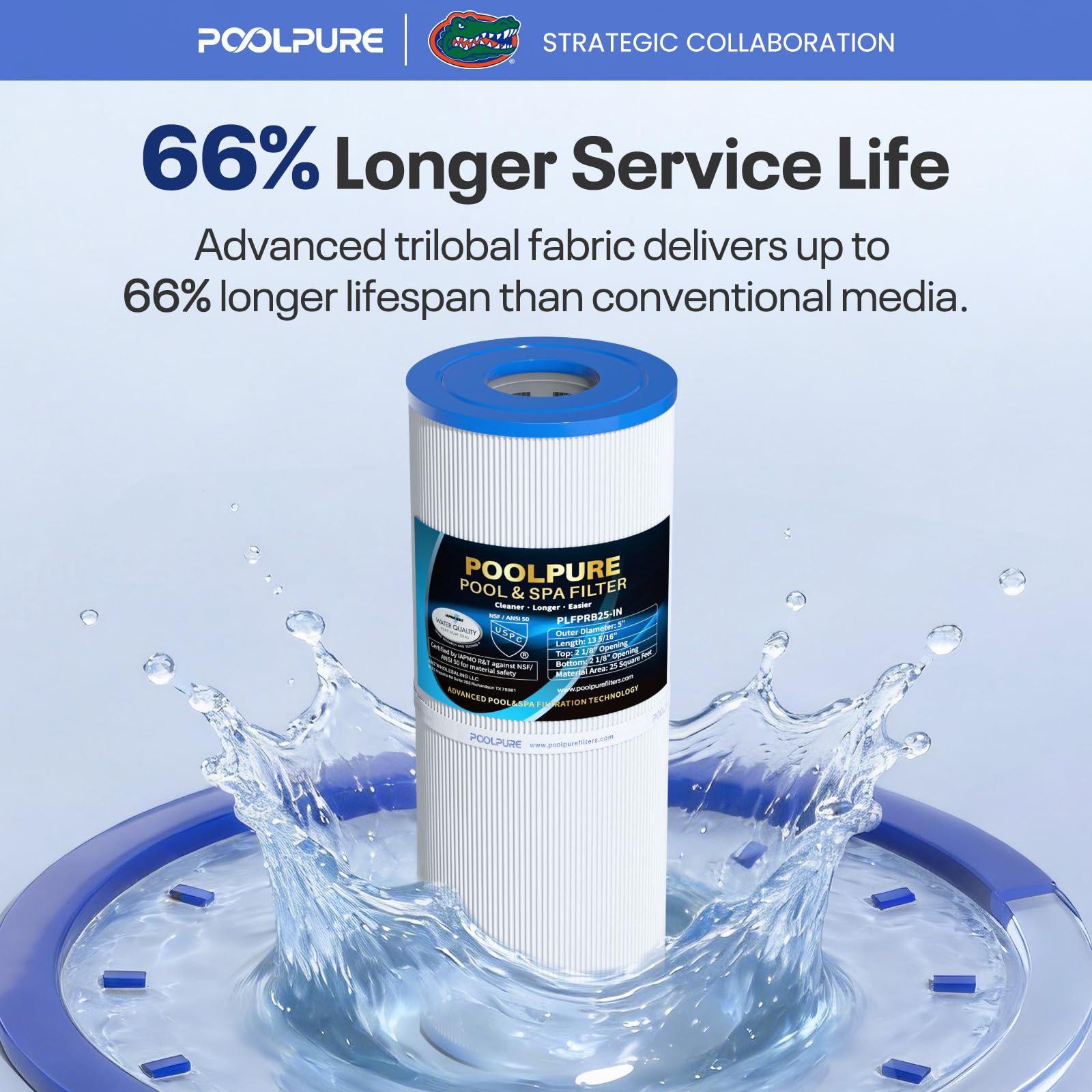 POOLPURE enjuague del filtro demostrando limpieza rápida y eficaz