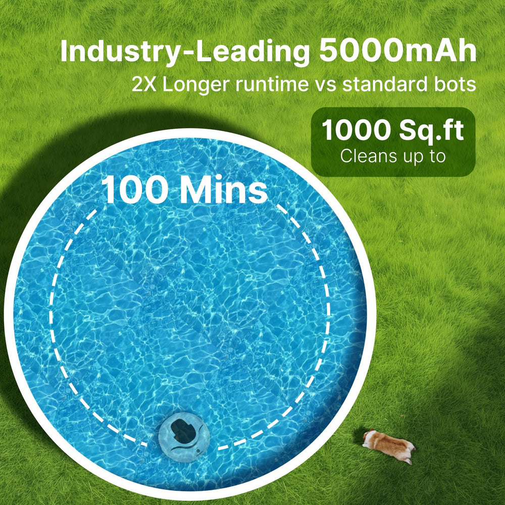 POOLPURE beside pool ladder showing scale and suitability for residential pools