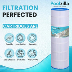 Poolzilla cartridge installed in filter housing ensuring correct compatibility