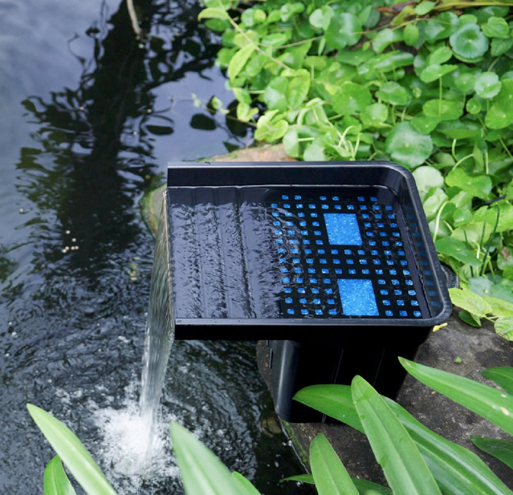 POPOSOAP backyard scene with waterfall showing tranquil aesthetic and garden focal point