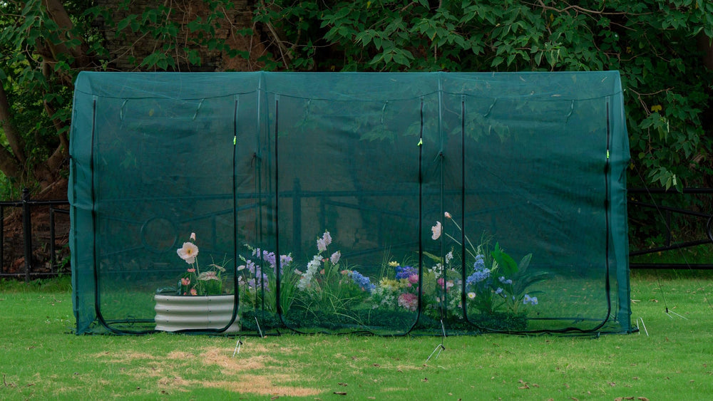 porayhut tunnel front view showing full cage protecting plants