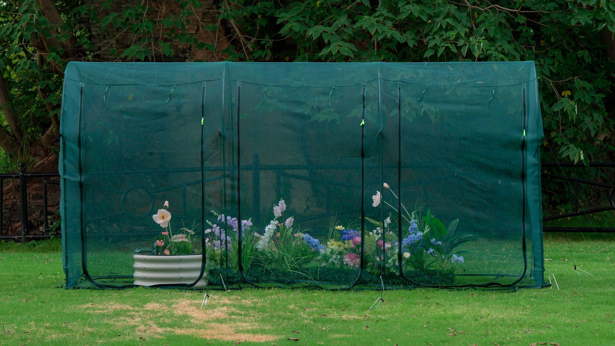 porayhut tunnel front view showing full cage protecting plants