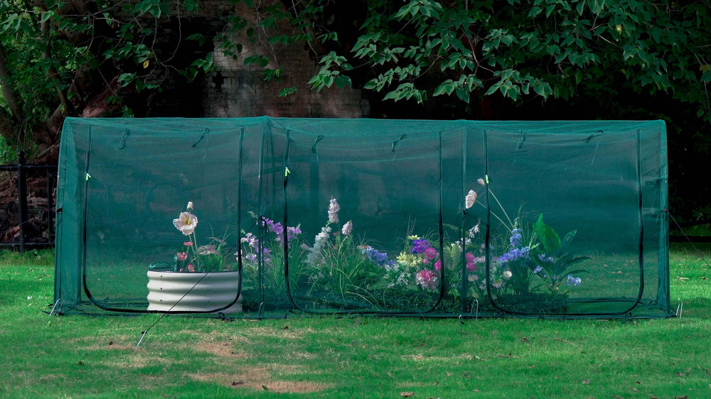 porayhut front view tunnel crop cage showing full coverage and ventilation benefit