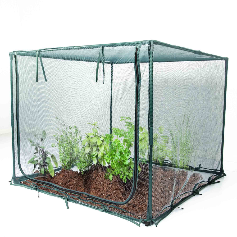 porayhut height comparison beside gardener illustrating roomy interior