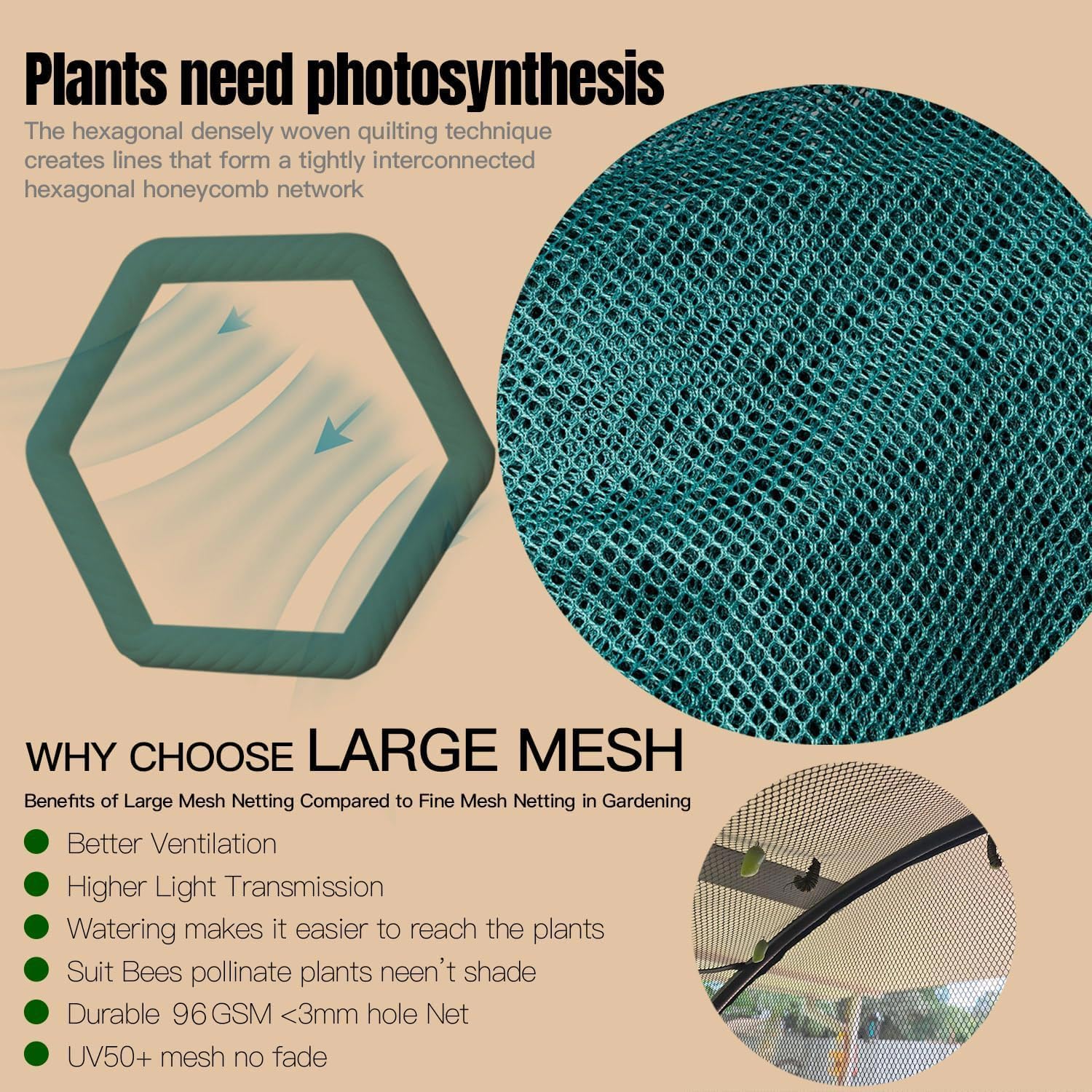 porayhut plants protected inside tunnel allowing safe growth and airflow