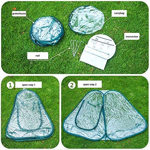 porayhut size comparison beside chair to show compact footprint