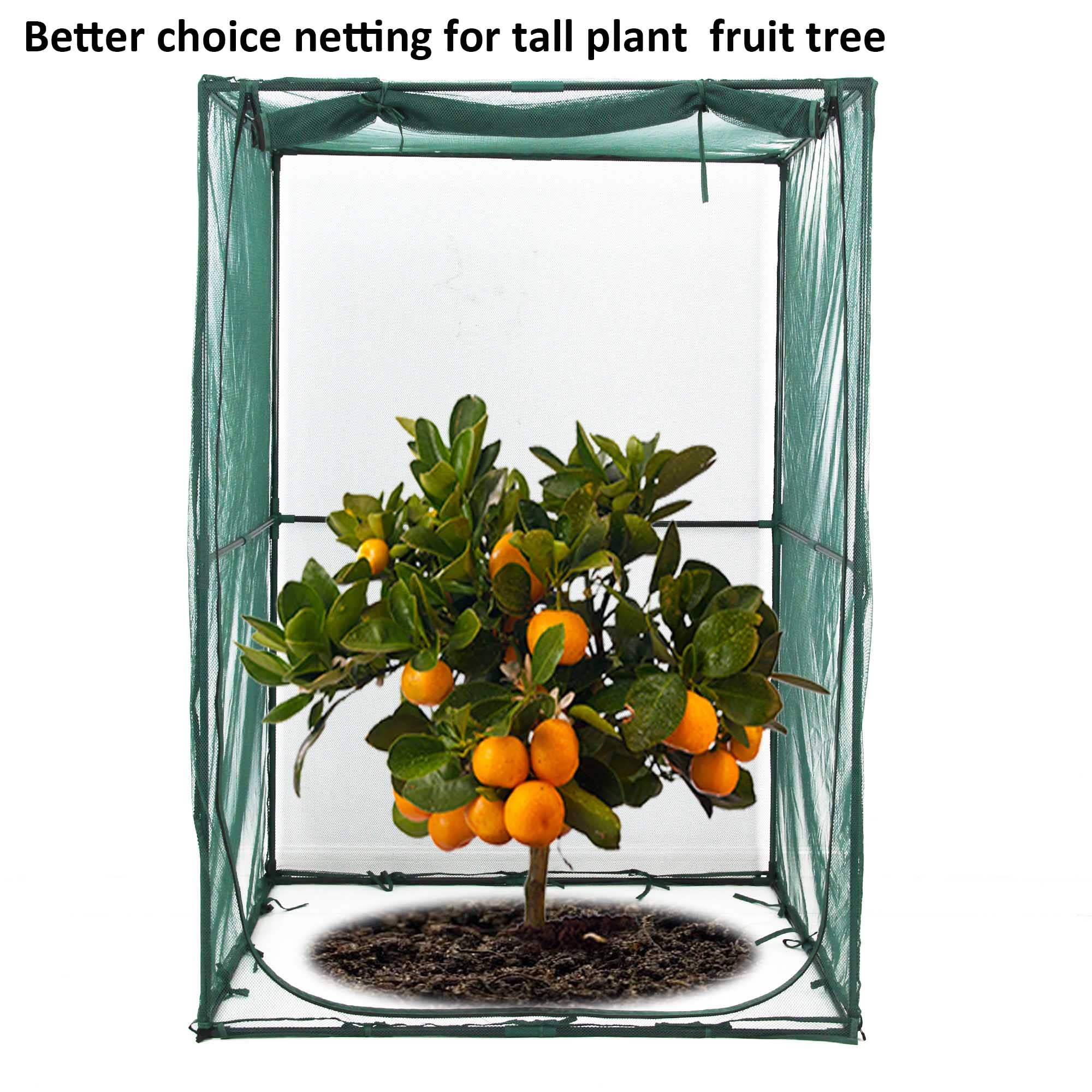 porayhut tall plant inside cage showing 6ft height protection benefit