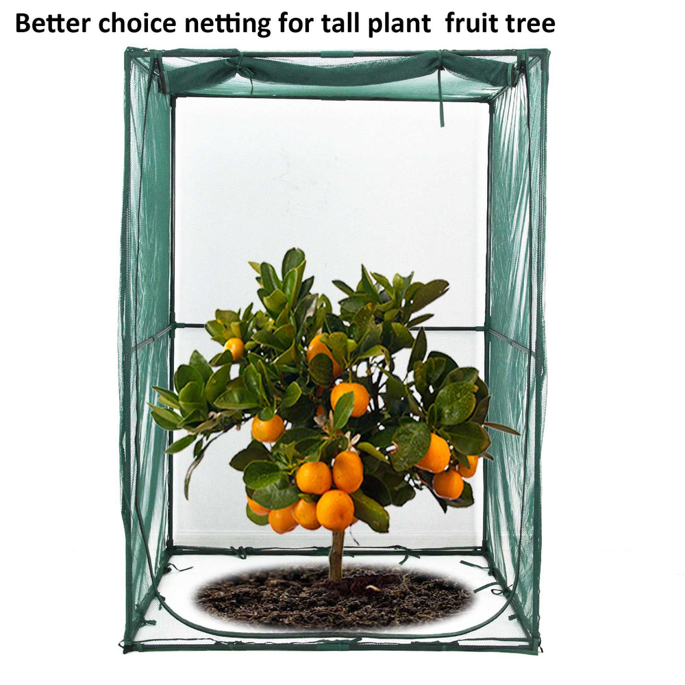 porayhut tall plant inside cage showing 6ft height protection benefit