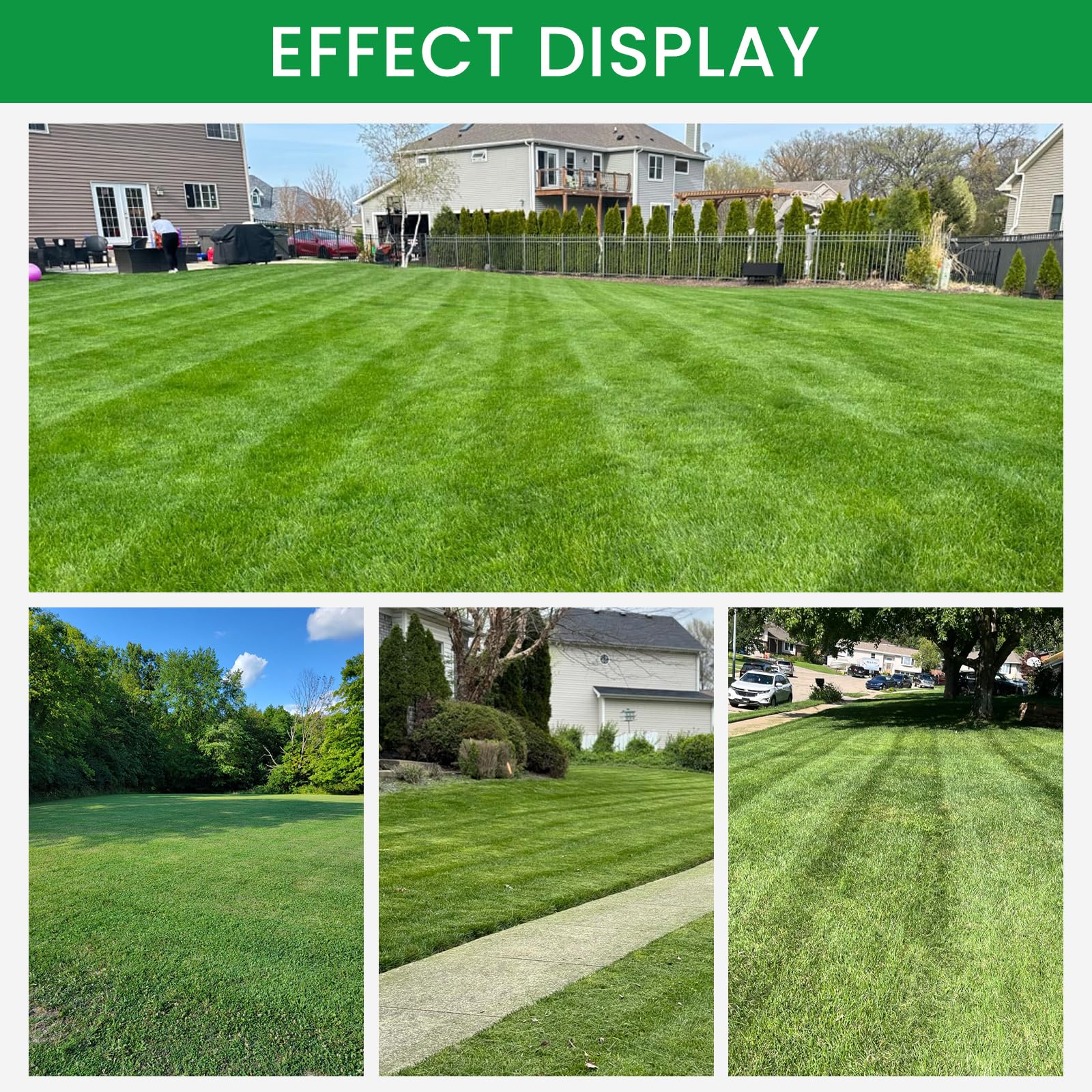 POSEAGLE mulched grass close-up showing fine clippings for improved lawn appearance benefit