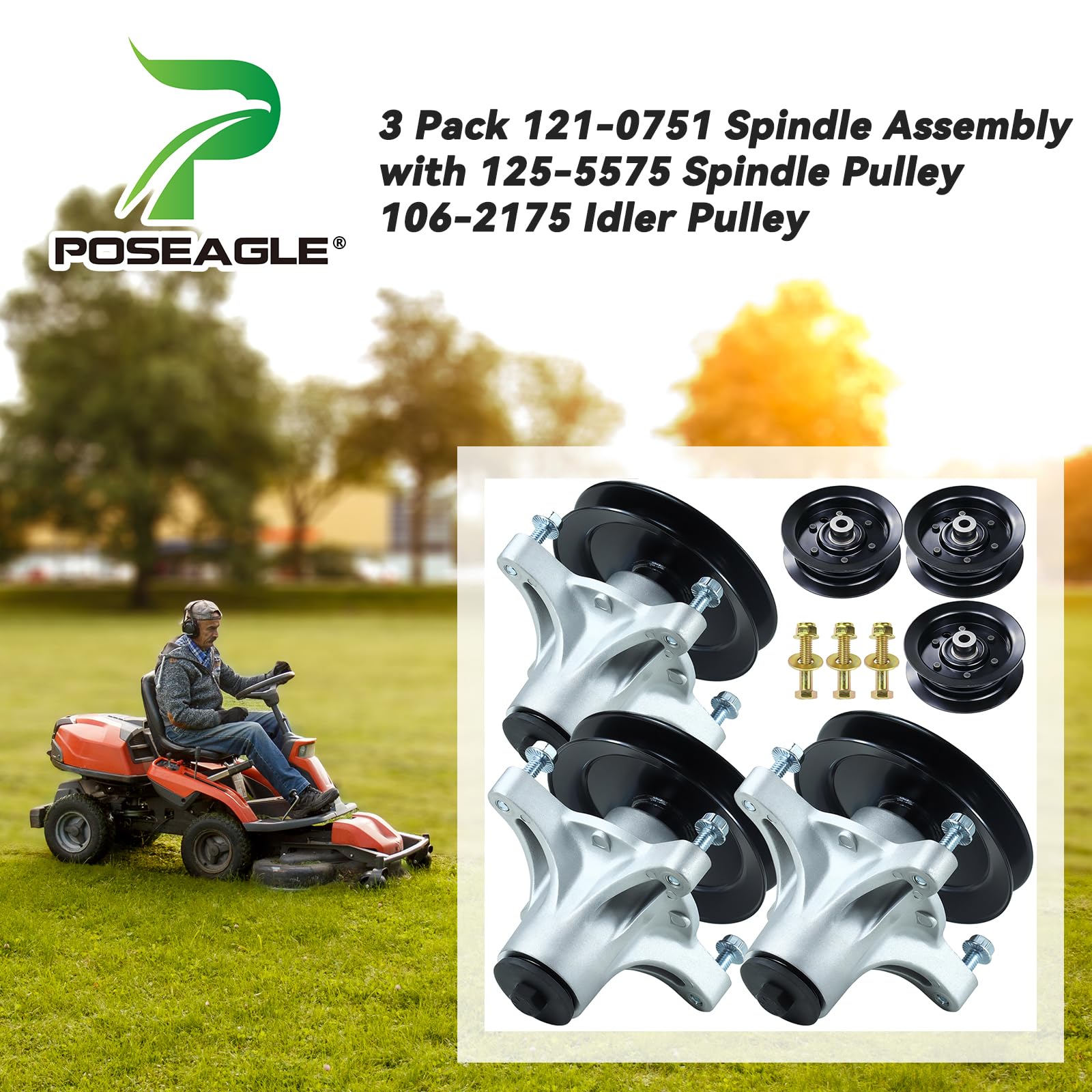 POSEAGLE spindle pulley top detail highlighting accurate belt seating benefit