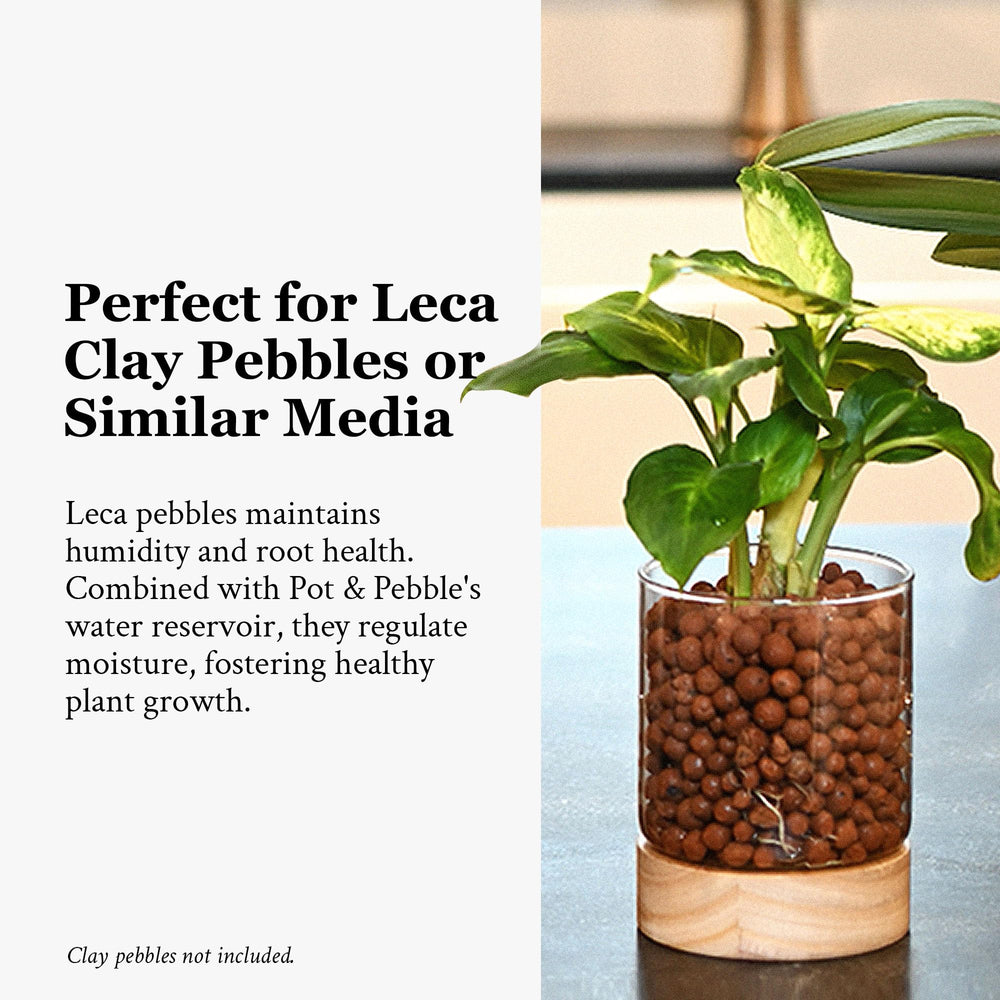 Pot & Pebble sustainable packaging boxed ready to reduce shipping waste