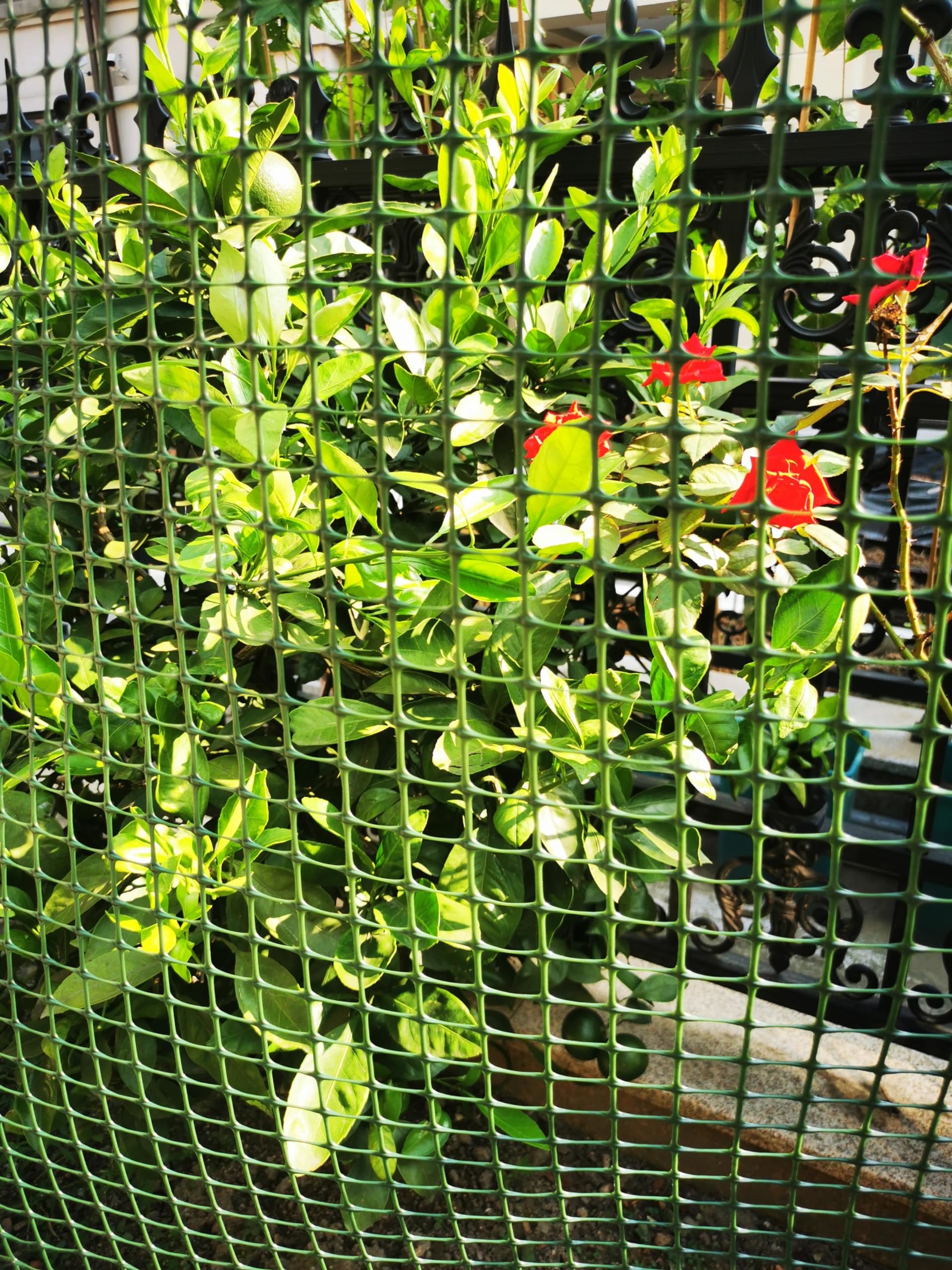 PotatoLife included 50 zip ties detail for fast, secure installation