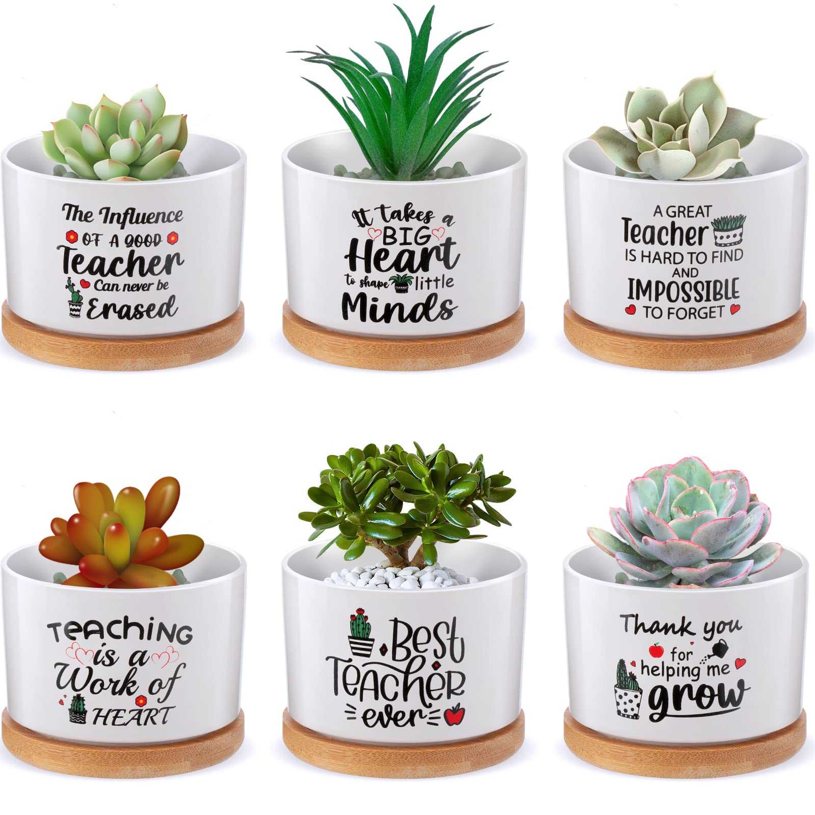 Potchen front packaging showing six teacher pots and bamboo trays, ideal gift presentation