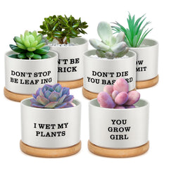 Potchen front packaging showing six pots and gift box, perfect for gifting