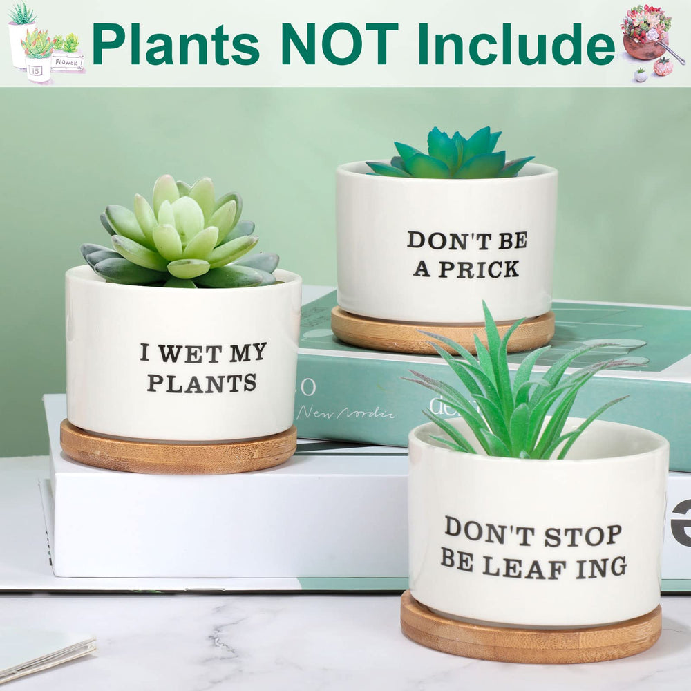Potchen next to ruler showing compact pot size and easy placement