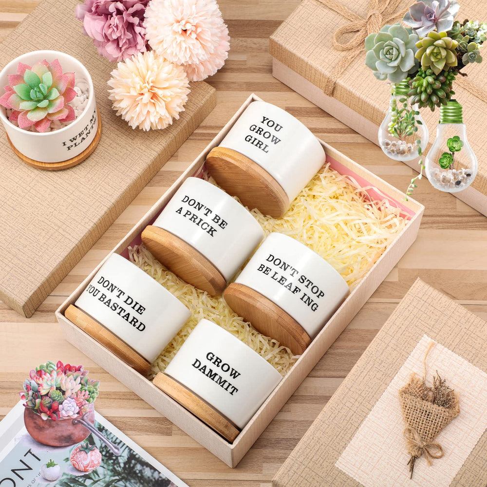 Potchen boxed set opened for instant gift presentation and convenience