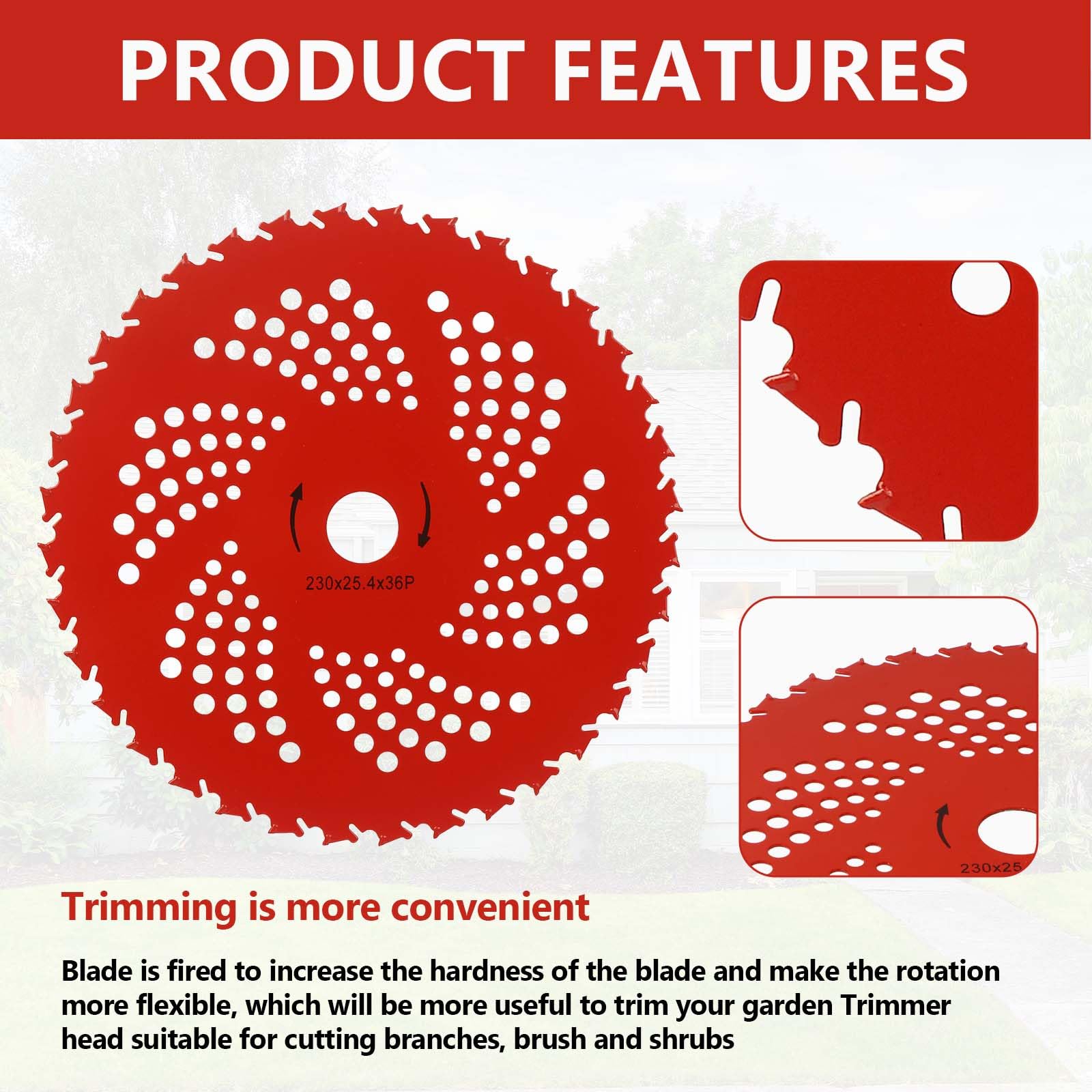 Potiarey 9 inch 36T carbide blade beside ruler showing size and precise cutting control