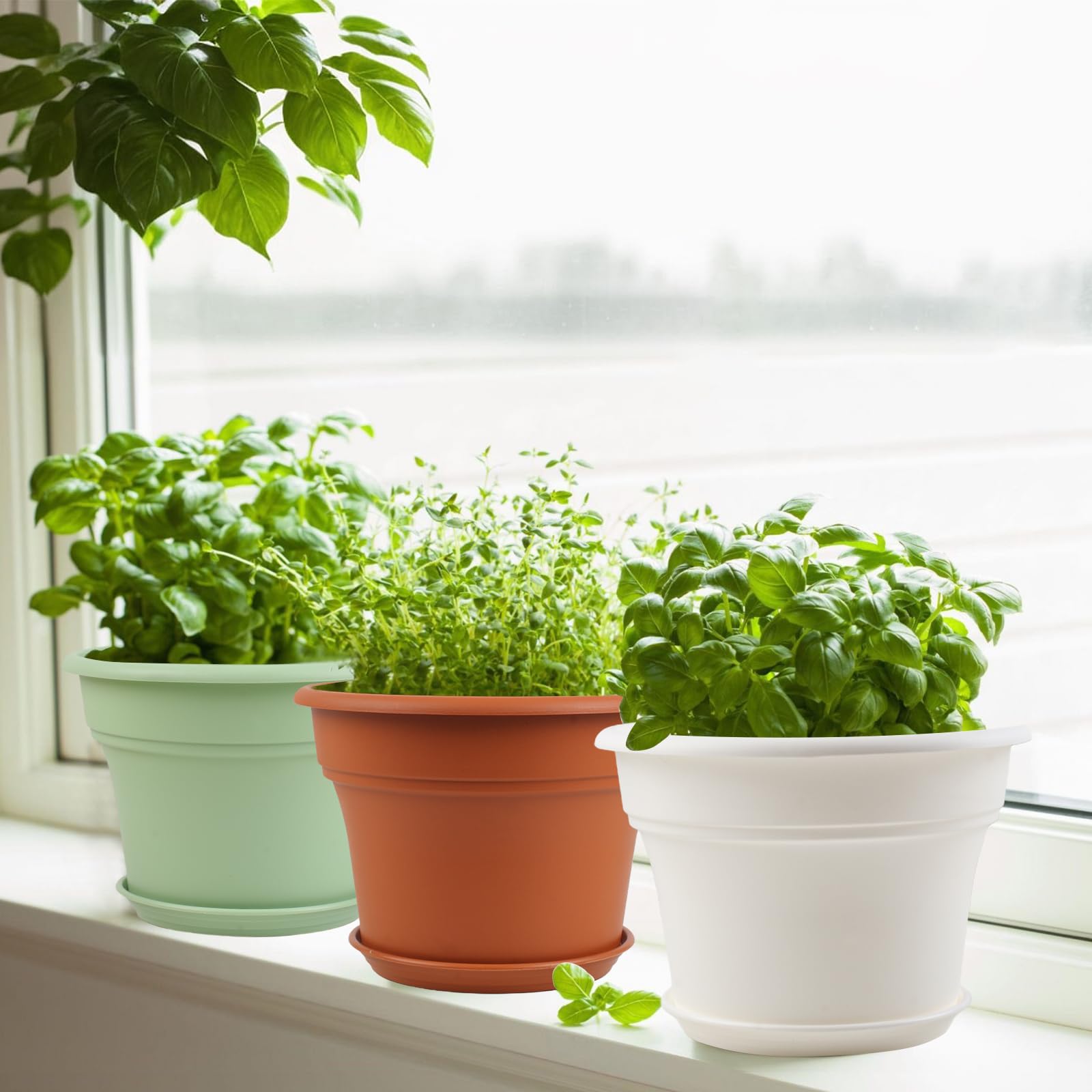 Pottiffe color variants in white green terracotta offering style-matching benefit