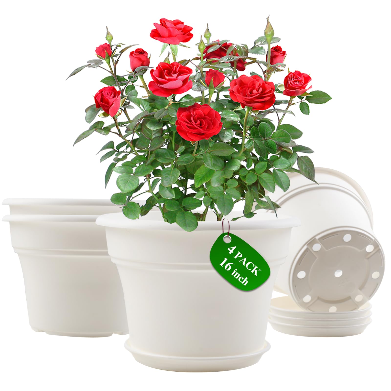 Pottiffe front view of 16 inch pot showing clean decorative shape and sturdy rim benefit